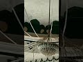 dargah Sharif #🕌🕌😍😍🕌🕌# short video#Amina fatima #  AkibAli