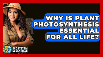 Why Is Plant Photosynthesis Essential For All Life? - Ecosystem Essentials