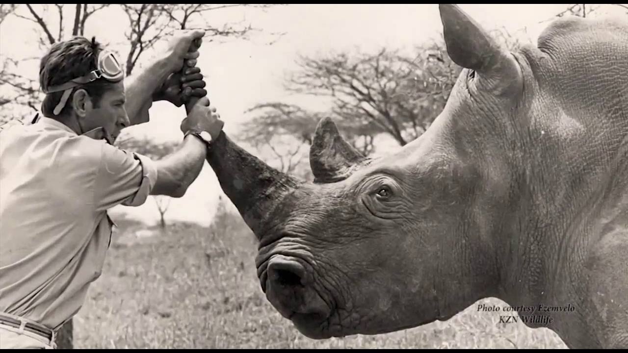 Hunting is conservation, South Africa