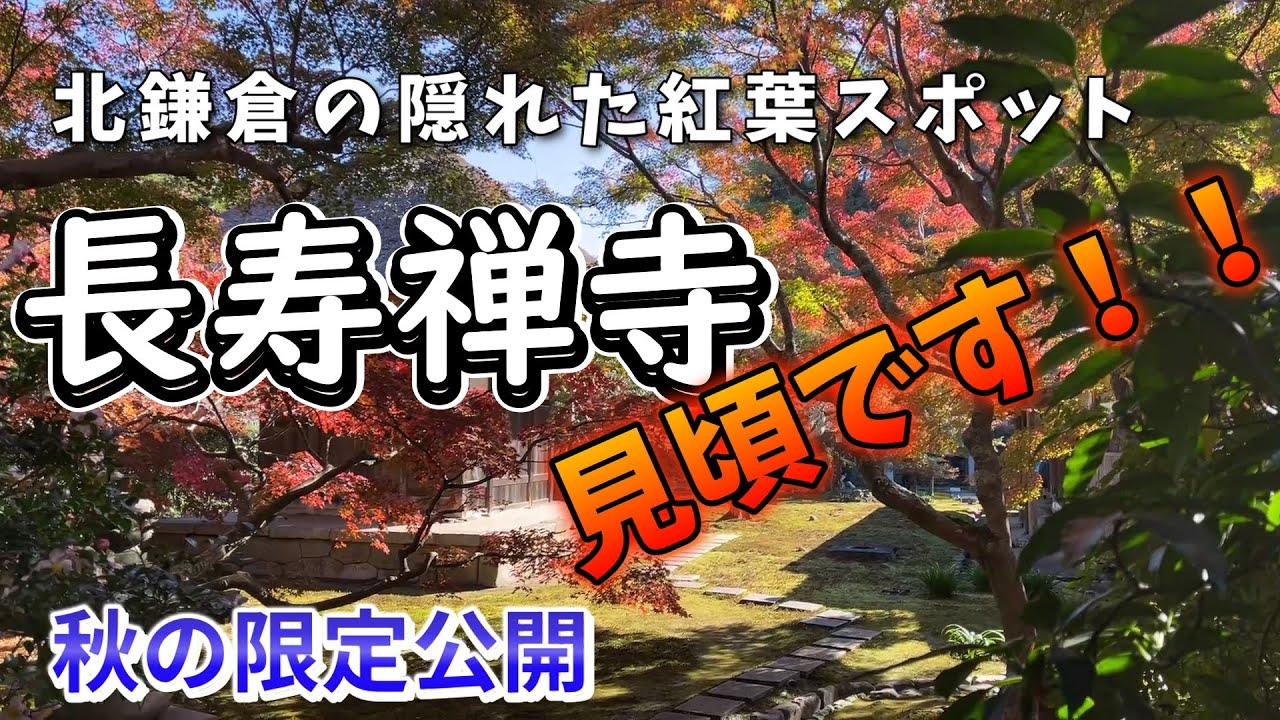 北鎌倉の隠れた紅葉スポット　長寿禅寺　錦秋の境内を散策！！秋季限定公開中の12月3日参拝