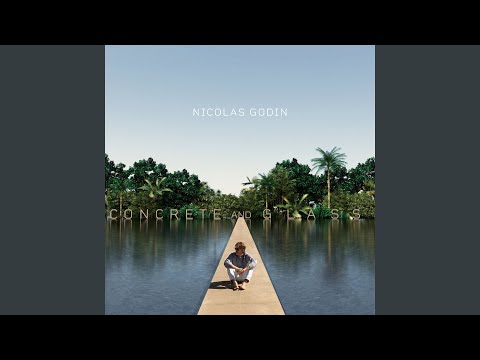 Nicolas Godin — We Forgot Love