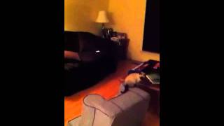 Download Lagu Dara and Thai MP3