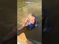 A short clip from HLC EP18 (2025) #swimming #entertainment #outdoors