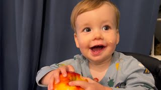 Apples: the Perfect Snack for Infants and Toddlers!