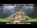 Cappadocia Aquarium Project 50GAL (Aliexpress Seeds)-Carpeting Part2