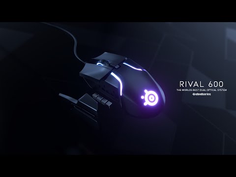 ჩემი ახალი მაუსის SteelSeries Rival 600 UNBOXING-ი