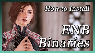 Skyrim SE - How to Install ENB Binaries