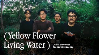 Download lagu Yellow Flower Living Water Live at Universal Teenage Frequency (Full Session)