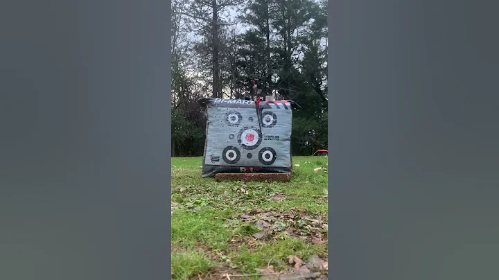 Day 8 Can I Land a Robin Hood? 20 Arrows from 20 Yards! 🎯 #archery  #hunting #bowhunting  #outdoors