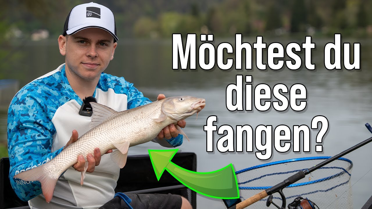 Frühling am Fluss - Feeder Fishing mit Team Preston Österreich