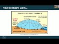 CSSP 2024 0625 (Talk) Modeling Antarctic Ice with Adaptive Mesh Refinement