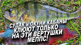 ЛУЧШАЯ БЛЕСНА НА ОКУНЯ И СУДАКА ЭТО ВЕРТУШКИ МЕППС! ЛОВЛЯ КРУПНОГО ОКУНЯ И СУДАКА НА СПИННИНГ 2025