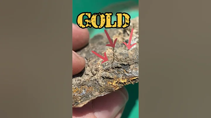 Rock full of Gold / Metal Detecting / #shorts