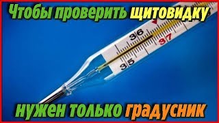 Чтобы Проверить Свою Щитовидку Нужен Только Градусник Самые Полезные Советы Для Здоровья