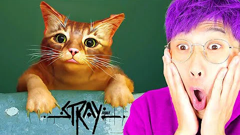 LANKYBOX Playing STRAY!? (FULL GAME PLAY!)