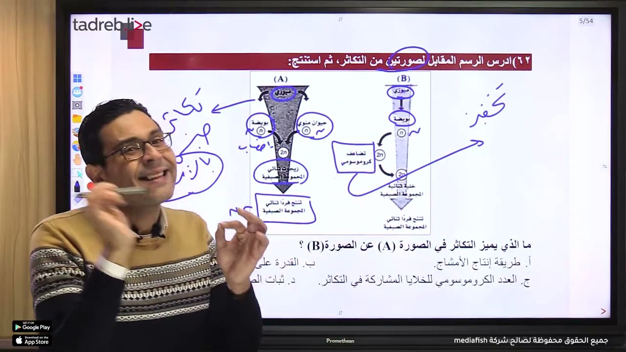 المحاضره الثانية ورشة التكاثر