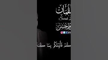 💚 سورة لقمان للقارئ محمد هشام 💥💙👍