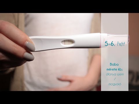 Videó: Terhességi Teszt Eredménye - Pozitív és Negatív