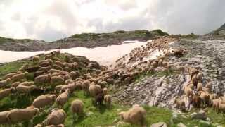 Alpsummer - Offizieller Trailer Des Kinofilms Von 2013 Untertitel Deutsch