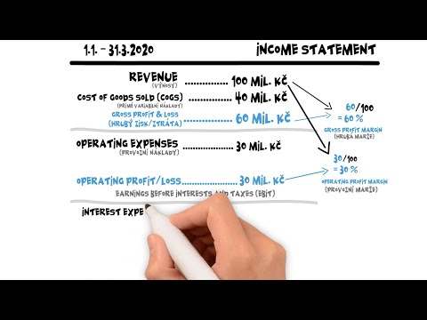 Pochop výkaz zisku a ztrát za 9 minut, lekce zdarma z kurzu
