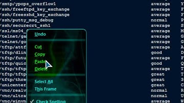 How To Make A Session Using Metasploit 3.3.3 (Web).mp4