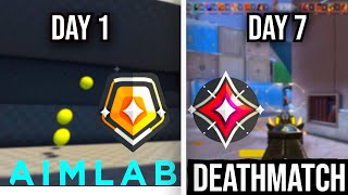 Does Deathmatch Improve Aim ? 7 day challenge