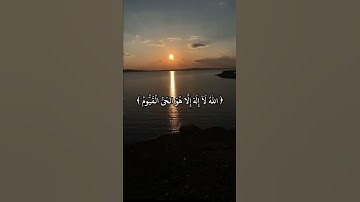 قران كريم صوت يبكي الحجر