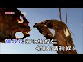 娜奴娃情歌 卡啦OK伴唱 娜奴娃情歌 卡啦OK伴唱