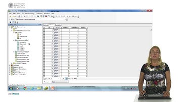 Importar datos en ArcGIS |  | UPV