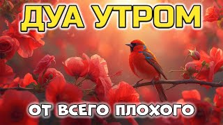 картинка: ДУА ДЛЯ ЗАЩИТЫ ОТ ПЛОХОГО! 🤲✨