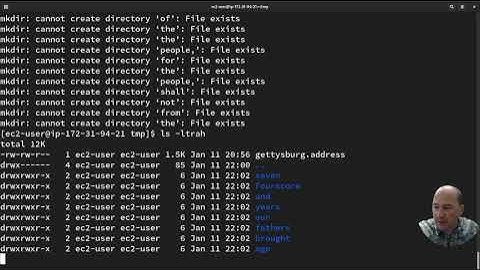 Linux Globbing and VI