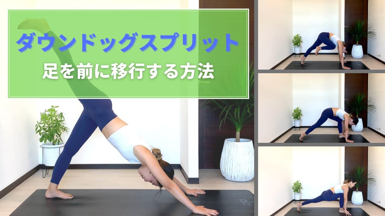 ダウンドッグの効果とやり方 ヨガの基本 初心者向け軽減法やバリエーション できない原因別対処法も紹介 ここからリンク