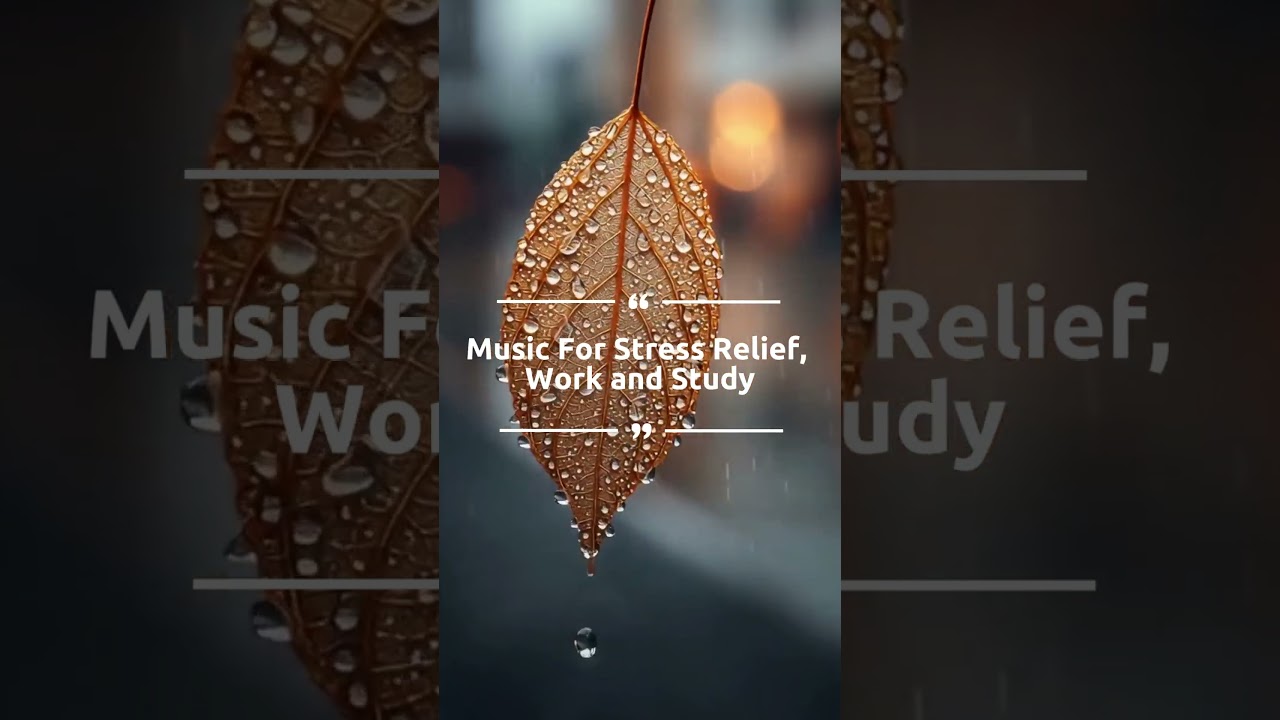 3 Hours - Music for stress relief, work and study 