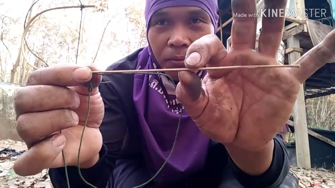 กับดักไก่ป่าและวิธีใส่ได้ผล100%