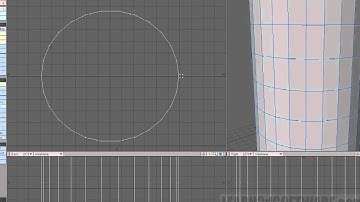 Lightwave Tutorial -Center View on Mouse Pointer
