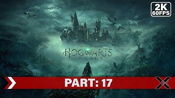Hogwarts Legacy - Beasts Rescuing, Gameplay Part 17 [1440p QHD 60FPS PC] - No Commentary