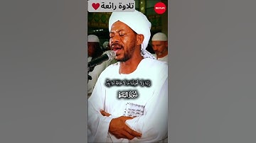 الشيخ صالح احمد صالح - خواتيم سورة البقرة