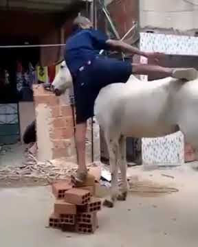 Mee laalii dhiriti akkati farda korutu