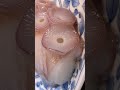 手指vs活章鱼腿～谁吃谁?!#aomori #青森生活 #日本海鲜 #food