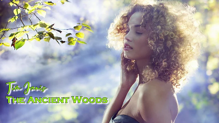 Tim Janis   The Ancient Woods    ( Relaxing, sooth...