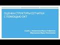 Оценка структуры сетчатки с помощью ОКТ