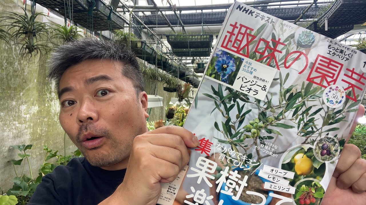植物とお話しする法 植物とお話しする法 | 橋本 健 |本 | 通販 | Amazon