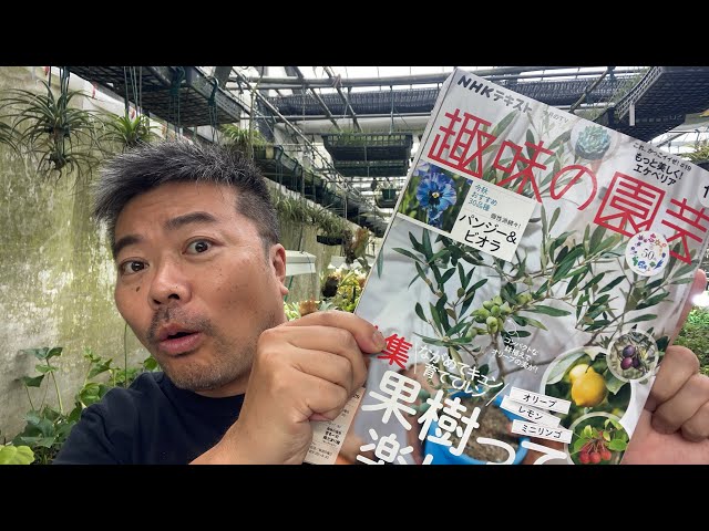 NHK Publishing's Hobby Gardening November issue is packed