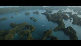 Palau X Beautiful Destinations