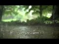 أروع اغنية كردية مترجمة باران باري يهطل المطر 