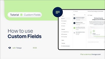 How to use custom fields in Trengo