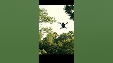 Watch this drone fly up and down before crashing straight into a palm tree! 🌴💥 #drone #shorts