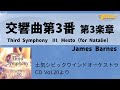 交響曲第3番 第3楽章 (Third Symphony Ⅲ. Mesto (for Natalie))