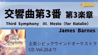 交響曲第3番 第3楽章 (Third Symphony Ⅲ. Mesto (for Natalie))