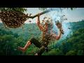 A Terrifying Battle Against a Giant Aggressive Beehive in the Deep Forest